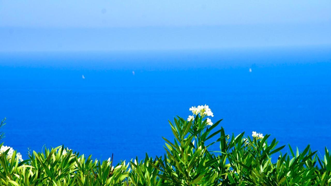 Villa Petale De Rose Cavalaire-sur-Mer Exteriör bild